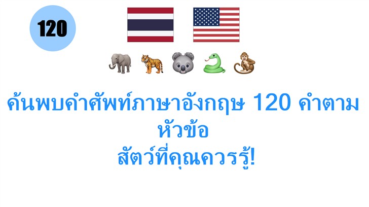 ค้นพบคำศัพท์ภาษาอังกฤษ 120 คำตามหัวข้อ: สัตว์ที่คุณควรรู้!